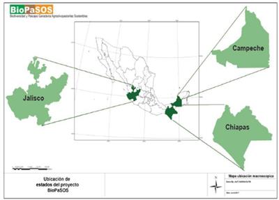 The carbon footprint of livestock farms under conventional management and silvopastoral systems in Jalisco, Chiapas, and Campeche (Mexico)